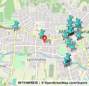 Mappa Via San Francesco, 31044 Montebelluna TV, Italia (0.5955)