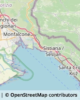 Consulenza di Direzione ed Organizzazione Aziendale Sgonico,34010Trieste