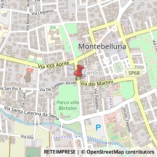 Mappa Viale Pietro Bertolini, 12, 31044 Montebelluna, Treviso (Veneto)