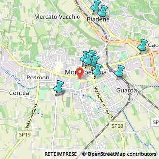 Mappa Viale P. Bertolini, 31044 Montebelluna TV, Italia (0.87818)