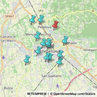 Mappa Via Regina Cornaro, 31044 Montebelluna TV, Italia (1.38714)