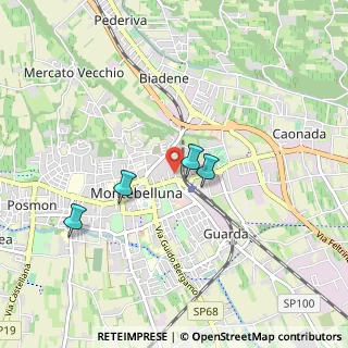 Mappa Via XXIV Maggio, 31044 Montebelluna TV, Italia (0.705)