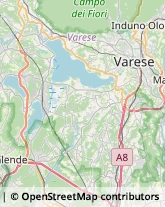 Spezie Verbania,28925Verbano-Cusio-Ossola