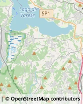 Spezie Verbania,28922Verbano-Cusio-Ossola