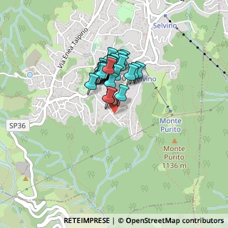 Mappa Via Monte Grappa, 24020 Selvino BG, Italia (0.295)