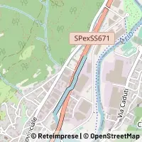 Map Albino