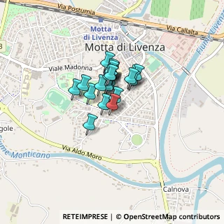 Mappa Viale XXV Aprile, 31045 Motta di Livenza TV, Italia (0.244)