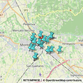 Mappa Via F. Barbaro, 31044 Montebelluna TV, Italia (1.17294)