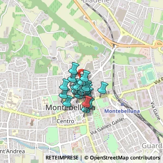 Mappa Viale Giacomo Matteotti, 31044 Montebelluna TV, Italia (0.266)