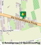 Via Schiavonesca Priula, 158/A,31044Montebelluna
