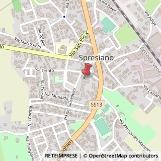 Mappa Piazzetta alcide de gasperi 9, 31027 Spresiano, Treviso (Veneto)