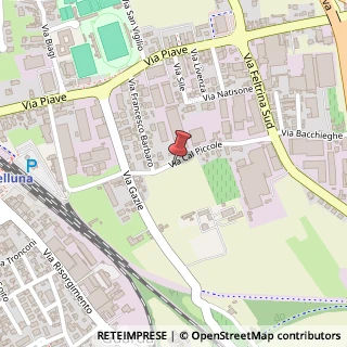 Mappa Via Cal Piccole, 19, 31044 Montebelluna, Treviso (Veneto)
