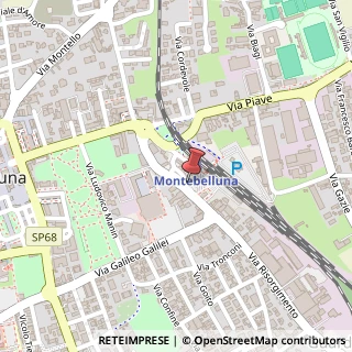 Mappa Via Risorgimento, 22, 31044 Montebelluna, Treviso (Veneto)