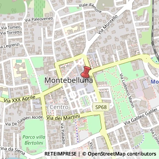 Mappa Via Alessandro Manzoni, 15, 31044 Montebelluna, Treviso (Veneto)