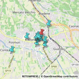 Mappa Piazza Guglielmo Marconi, 31044 Montebelluna TV, Italia (0.44615)