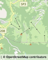 Autofficine e Centri Assistenza Avio,38063Trento