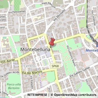 Mappa Via Roma, 13, 31044 Montebelluna, Treviso (Veneto)