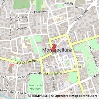 Mappa Corso Mazzini, 135, 31044 Montebelluna, Treviso (Veneto)