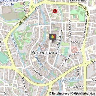 Podologia - Studi e Centri Portogruaro,30026Venezia