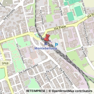 Mappa Viale della Stazione, 1, 31044 Montebelluna, Treviso (Veneto)