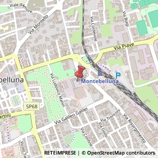 Mappa Piazza Vienna, 8, 31044 Montebelluna, Treviso (Veneto)