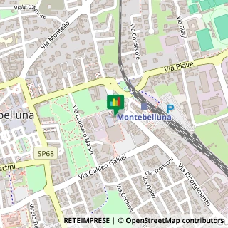 Mappa Piazza Vienna, 8, 31044 Montebelluna, Treviso (Veneto)