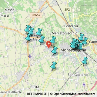 Mappa Via Giulio Pastore, 31044 Montebelluna TV, Italia (2.047)