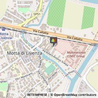 Chiropratica Motta di Livenza,31045Treviso