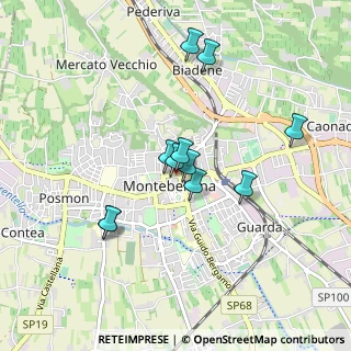 Mappa PIAZZA NICOLO`TOMMASEO, 31044 Montebelluna TV, Italia (0.73091)