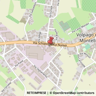 Mappa Via Schiavonesca Nuova, 44, 31040 Volpago del Montello, Treviso (Veneto)
