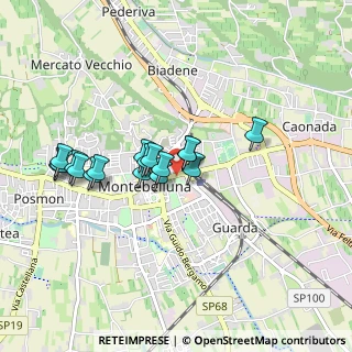 Mappa Via C. A. Liberali, 31044 Montebelluna TV, Italia (0.74765)