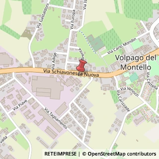 Mappa Via Schiavonesca Nuova, 161, 31040 Volpago del Montello, Treviso (Veneto)