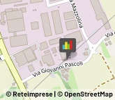 Falegnami Mussolente,36065Vicenza