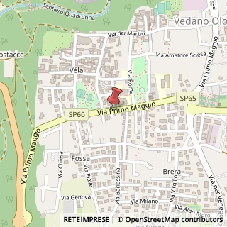 Mappa Via Primo Maggio,  45, 21040 Vedano Olona, Varese (Lombardia)