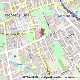 Mappa Via G. Galilei, 15, 31044 Montebelluna, Treviso (Veneto)