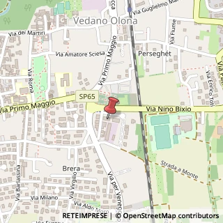 Mappa Via IV Novembre, 11, 21040 Castiglione Olona, Varese (Lombardia)