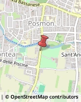 Via Castellana, 83,31044Montebelluna