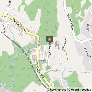 Imbalsamatori Senna Comasco,22070Como