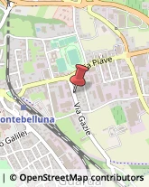 Via Gazie, 11,31044Montebelluna