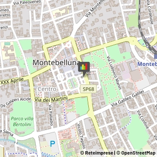 Istituti Finanziari Montebelluna,31044Treviso