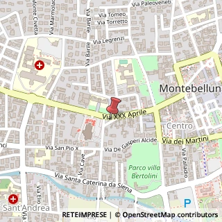 Mappa Via XXX Aprile, 89, 31044 Montebelluna, Treviso (Veneto)