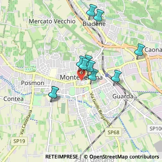 Mappa Via Silvio Pellico, 31044 Montebelluna TV, Italia (0.78818)