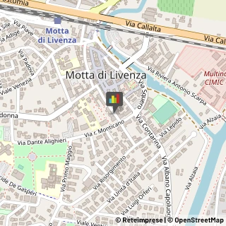 Chiropratica Motta di Livenza,31045Treviso