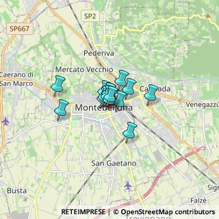 Mappa Piazza A.Moro, 31044 Montebelluna TV, Italia (0.742)