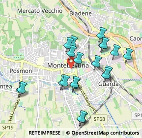 Mappa Piazza Francesco Petrarca, 31044 Montebelluna TV, Italia (0.9165)