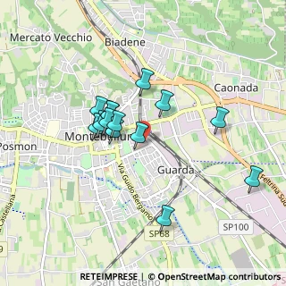 Mappa Piazza Vienna, 31044 Montebelluna TV, Italia (0.75143)