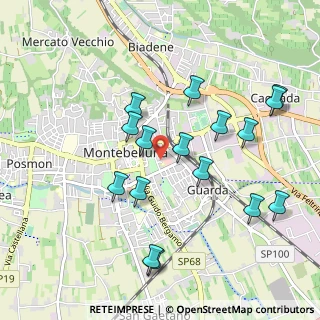 Mappa Via Lino Mattiello, 31044 Montebelluna TV, Italia (1.00063)