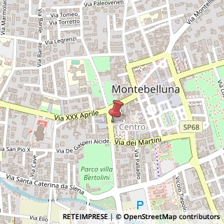 Mappa Viale P. Bertolini, 21, 31044 Montebelluna, Treviso (Veneto)