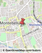 Piazza Aldo Moro, 28,31044Montebelluna