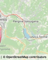 Veterinaria - Ambulatori e Laboratori Calceranica al Lago,38950Trento